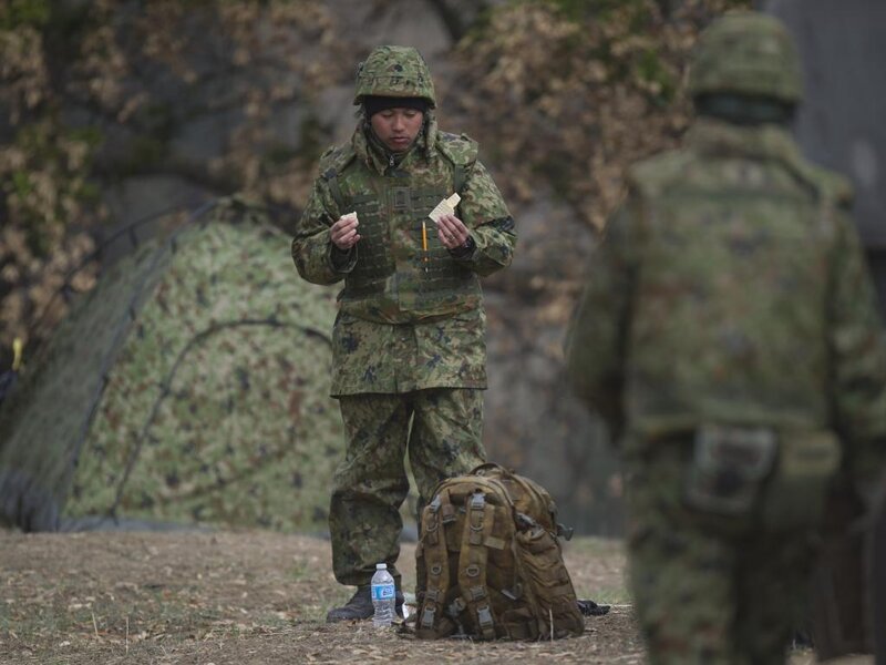 Soldier in Camouflage — Green, Serious