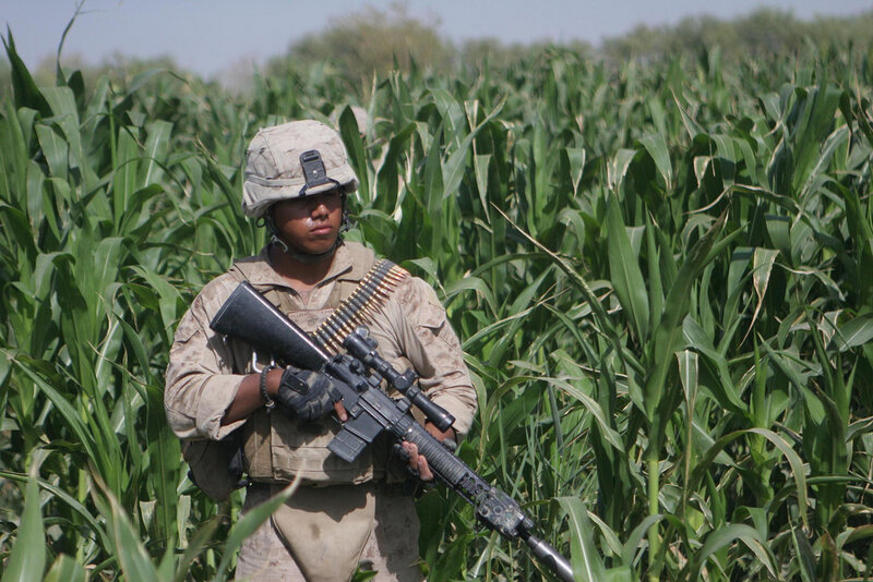 Soldier in Cornfield — Green