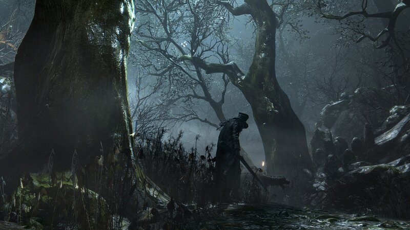 Soldier in Dark Forest