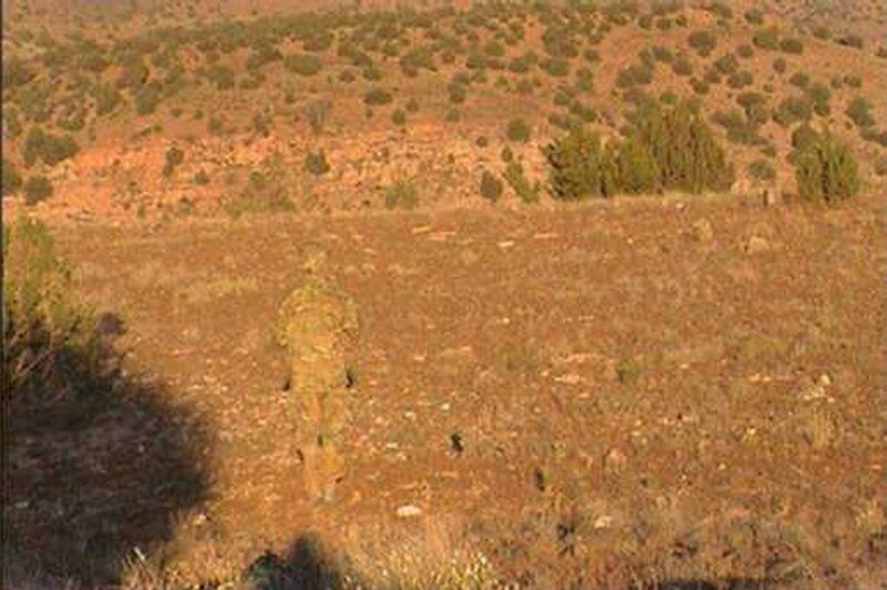 Soldier in Desert — Brown