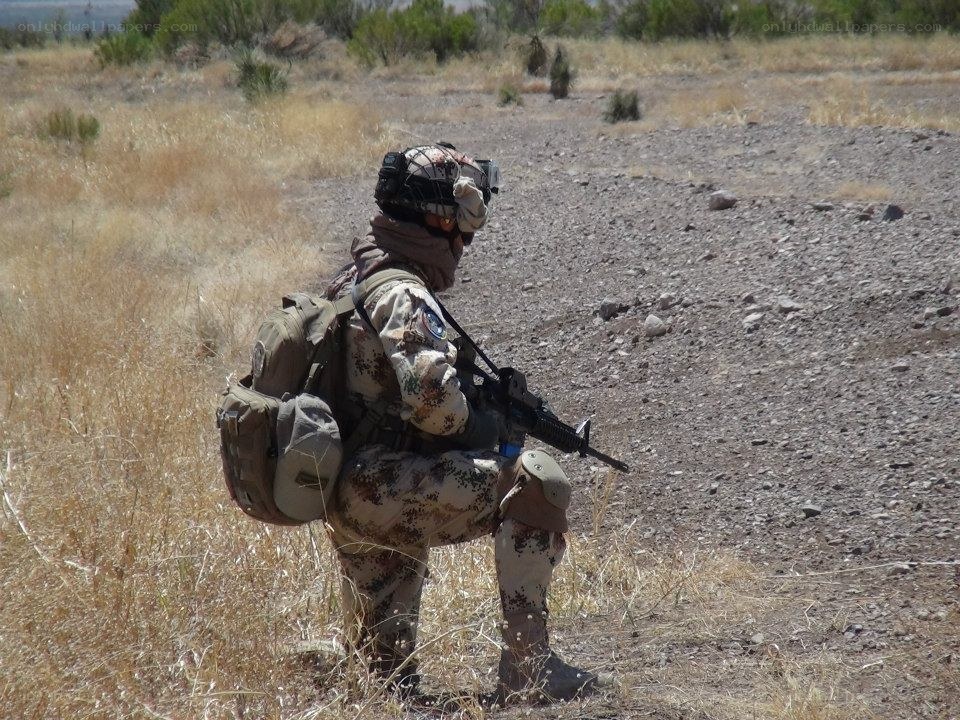Soldier in desert terrain