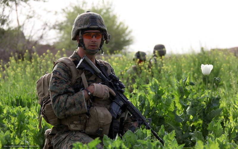 Soldier in Field — Green, Alert