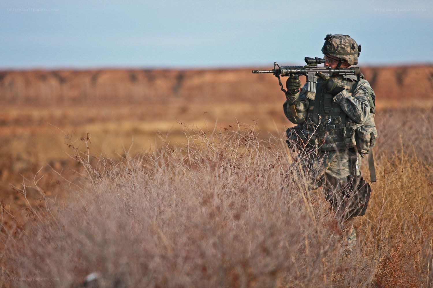 Soldier in field with rifle