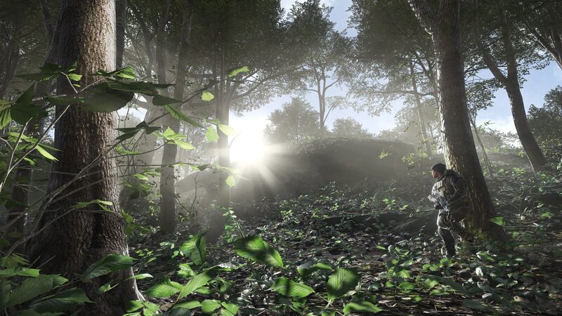 Soldier in forest at sunrise