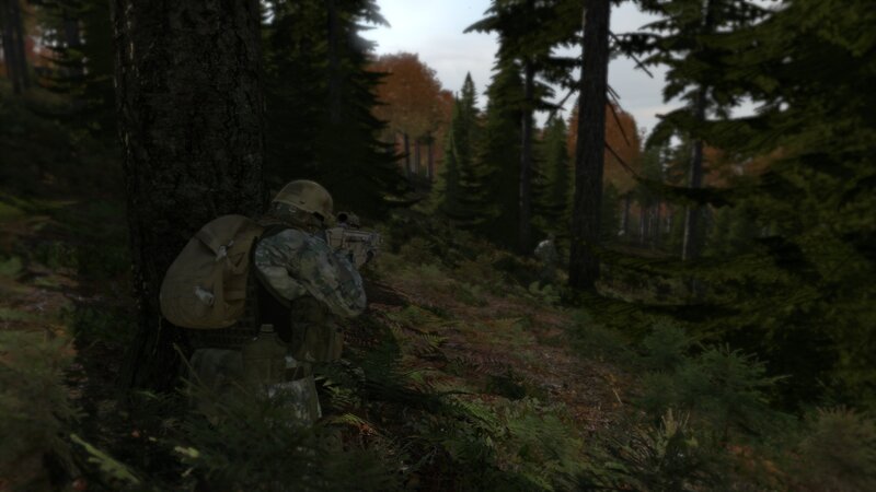 Soldier in forest combat