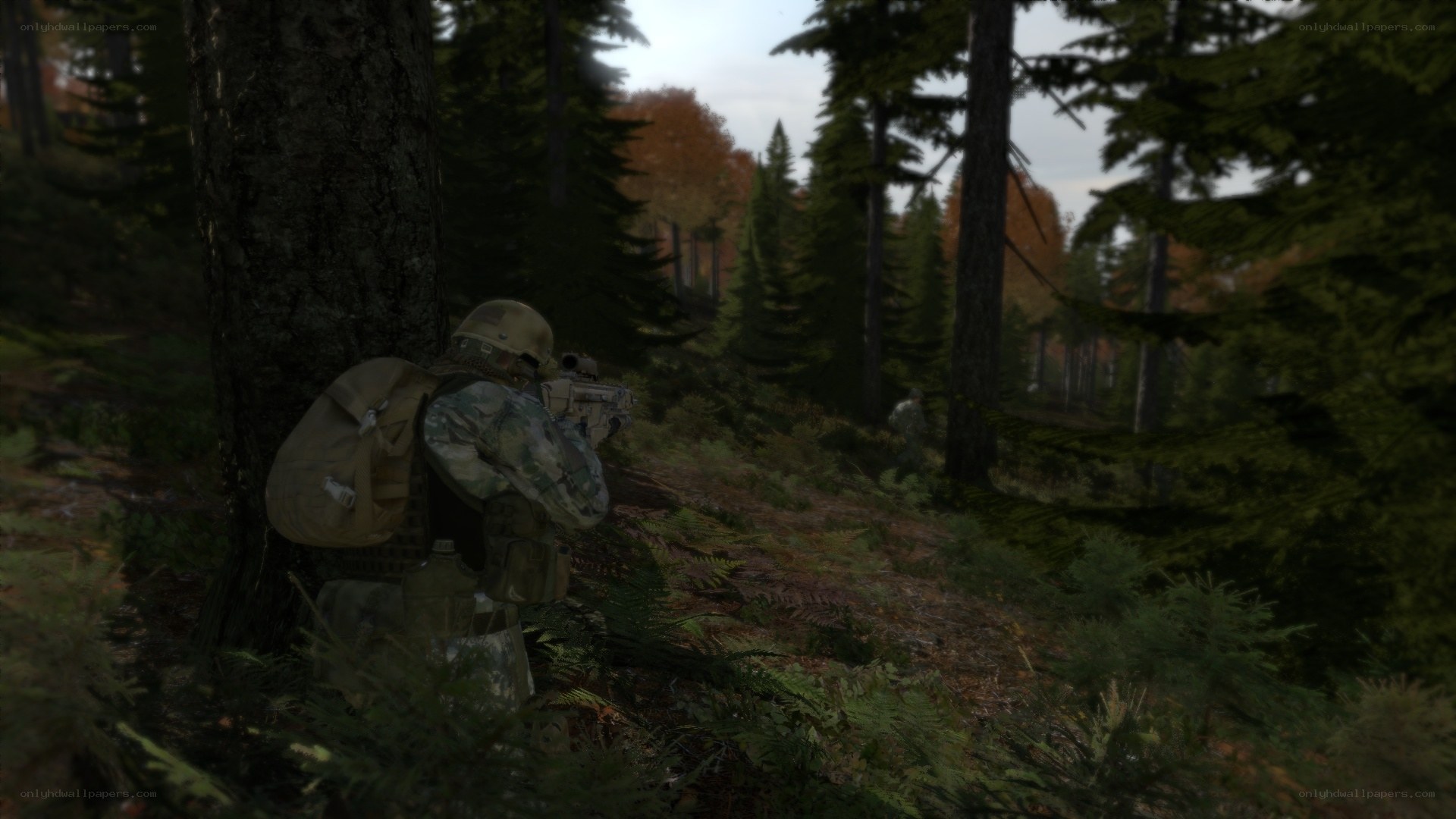 Soldier in forest combat