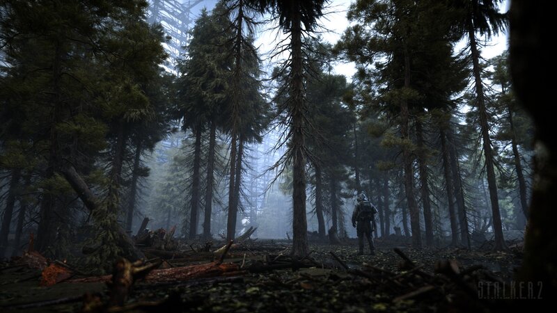 Soldier in Forest — Green, Atmospheric