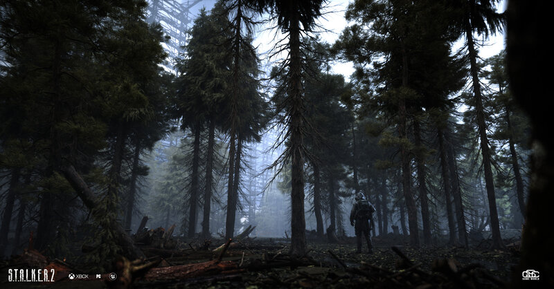 Soldier in Forest — Green, Dark, Mysterious