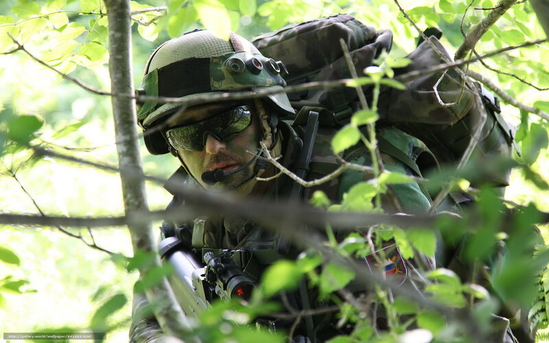 Soldier in Forest — Green, Tense, Afternoon