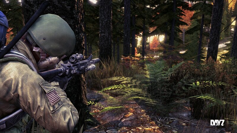 Soldier in Forest — Green, Tense, Sunset