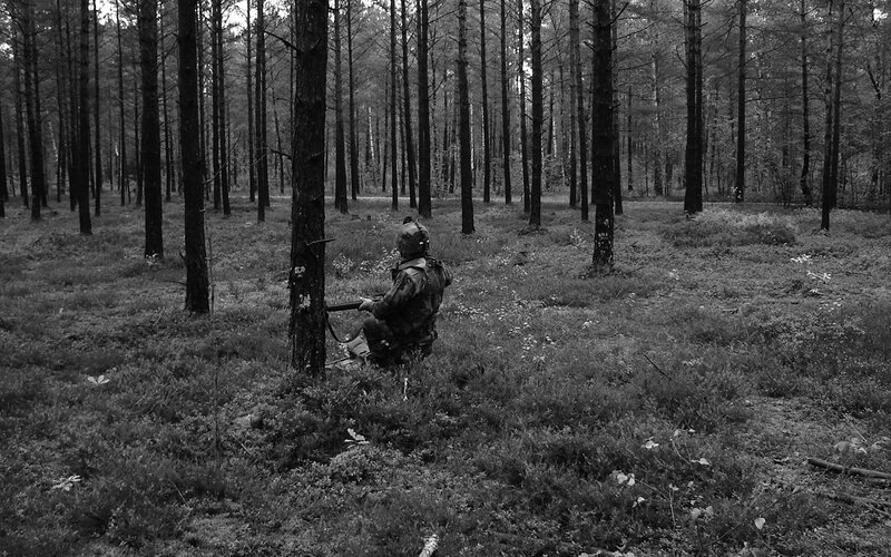 Soldier in forest terrain