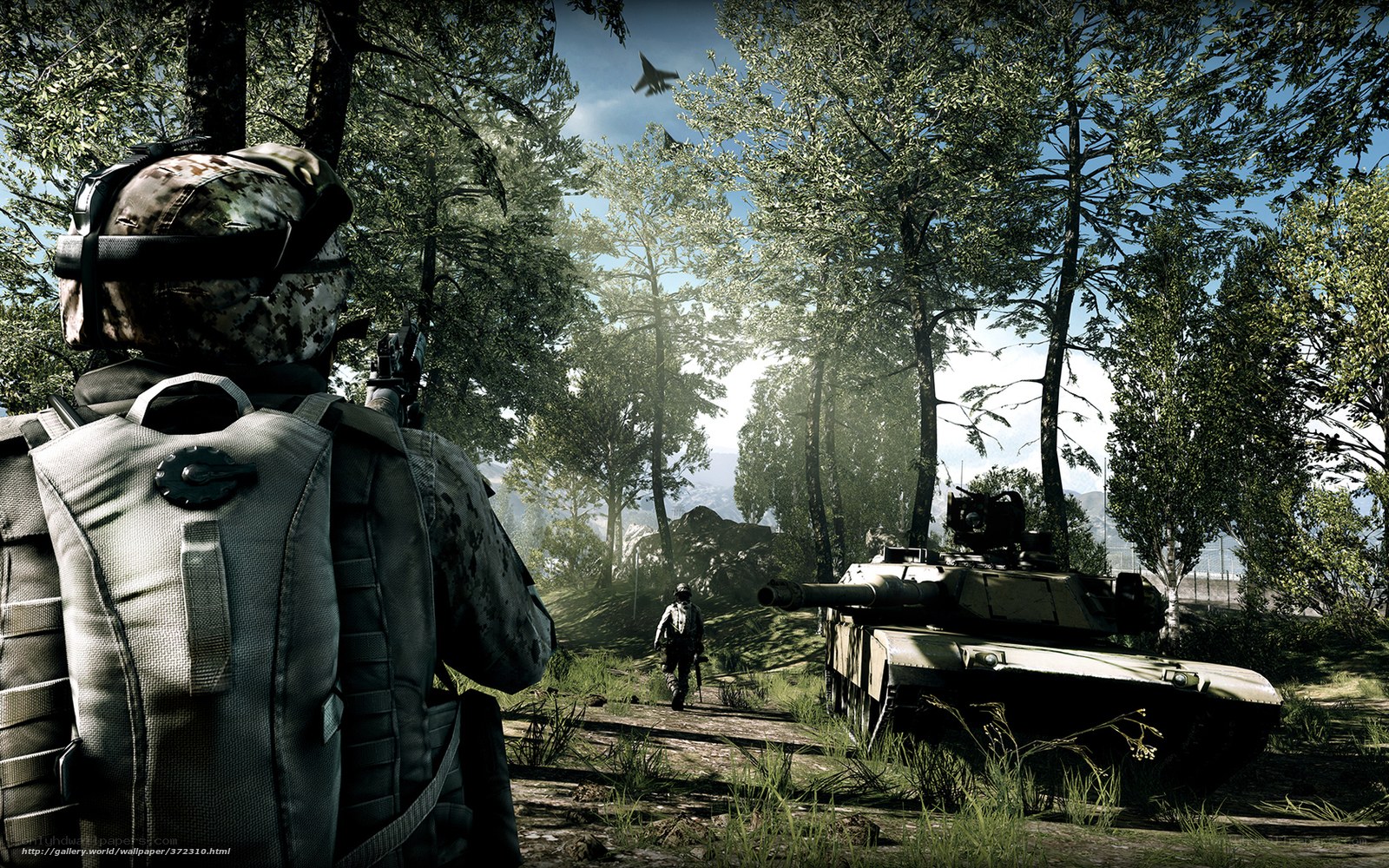 Soldier in forest with tank