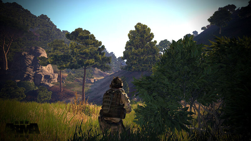 Soldier in Grassy Field — Green