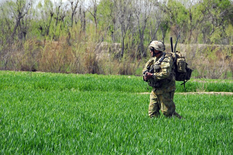 Soldier in Green Field — Alert