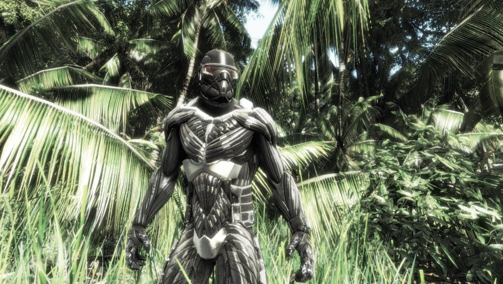 soldier in jungle armor