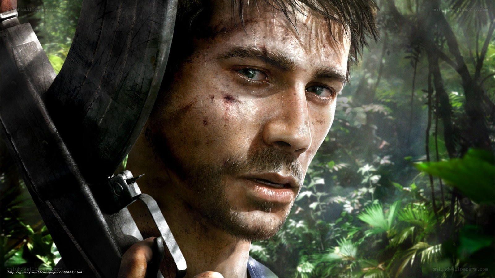 soldier in jungle combat
