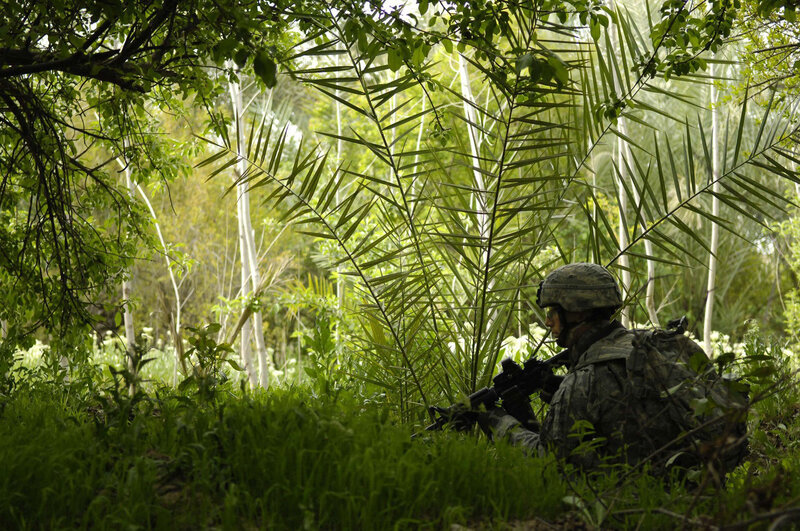 Soldier in jungle terrain