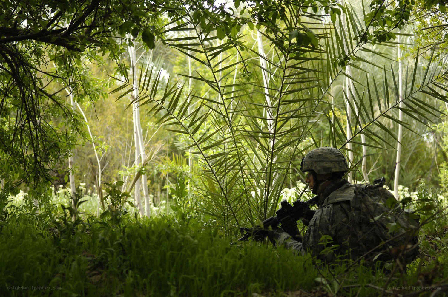 Soldier in jungle terrain
