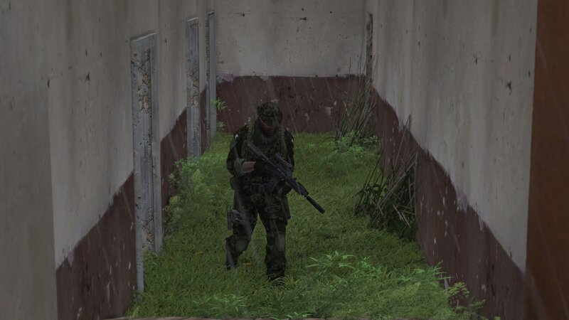 Soldier in Overgrown Corridor
