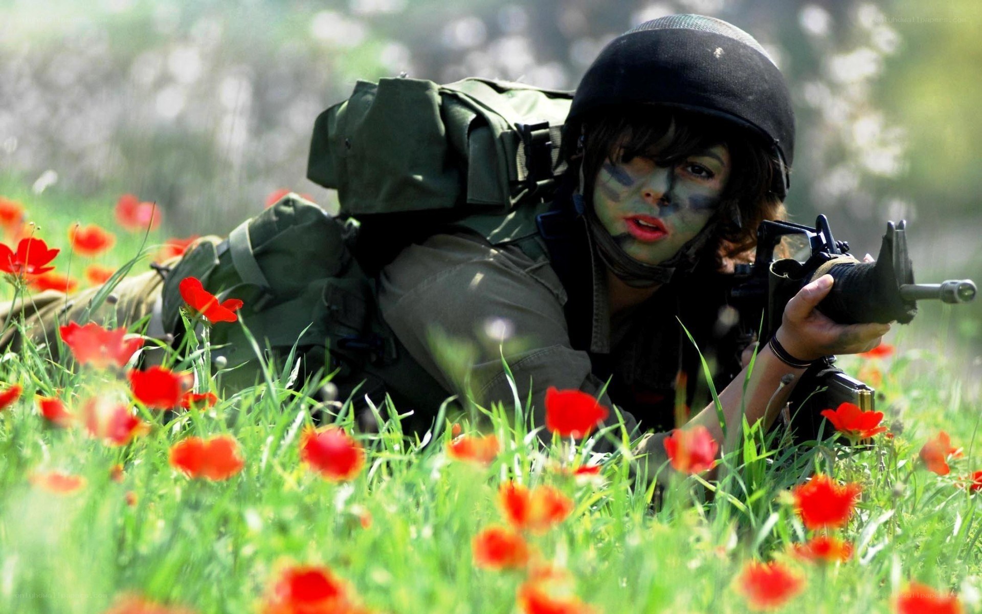 Soldier in poppy field