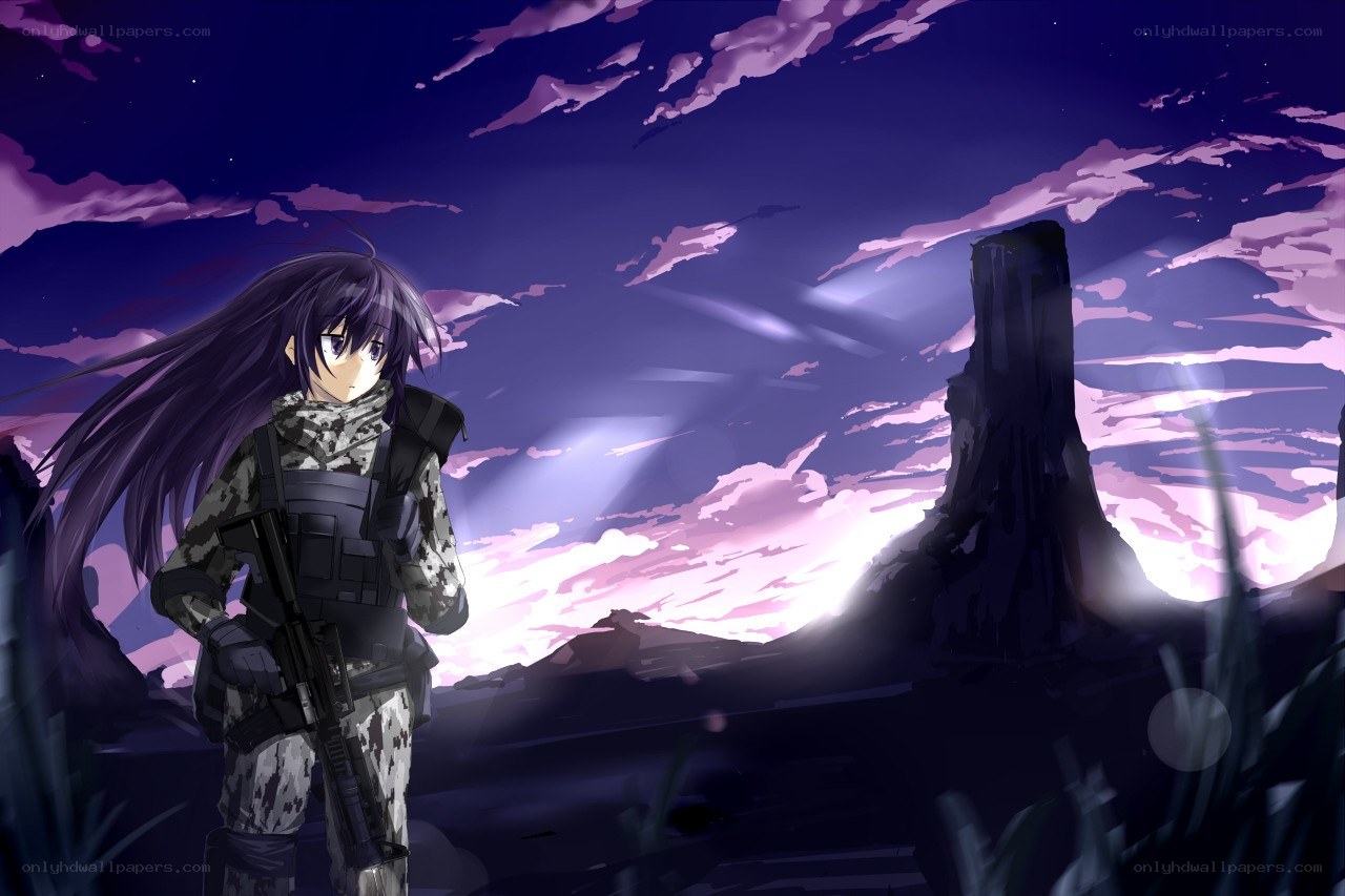 soldier in purple twilight