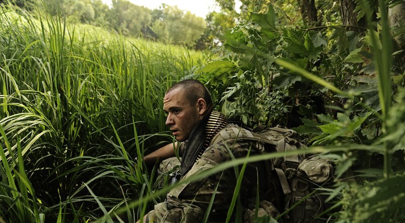 Soldier in Tall Grass — Green, Tense, Afternoon, Photograph
