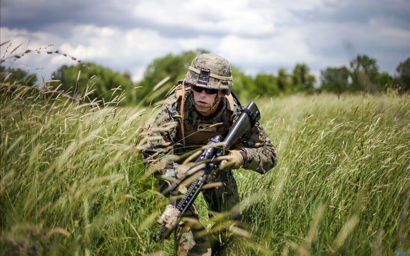 Soldier in tall grass with rifle