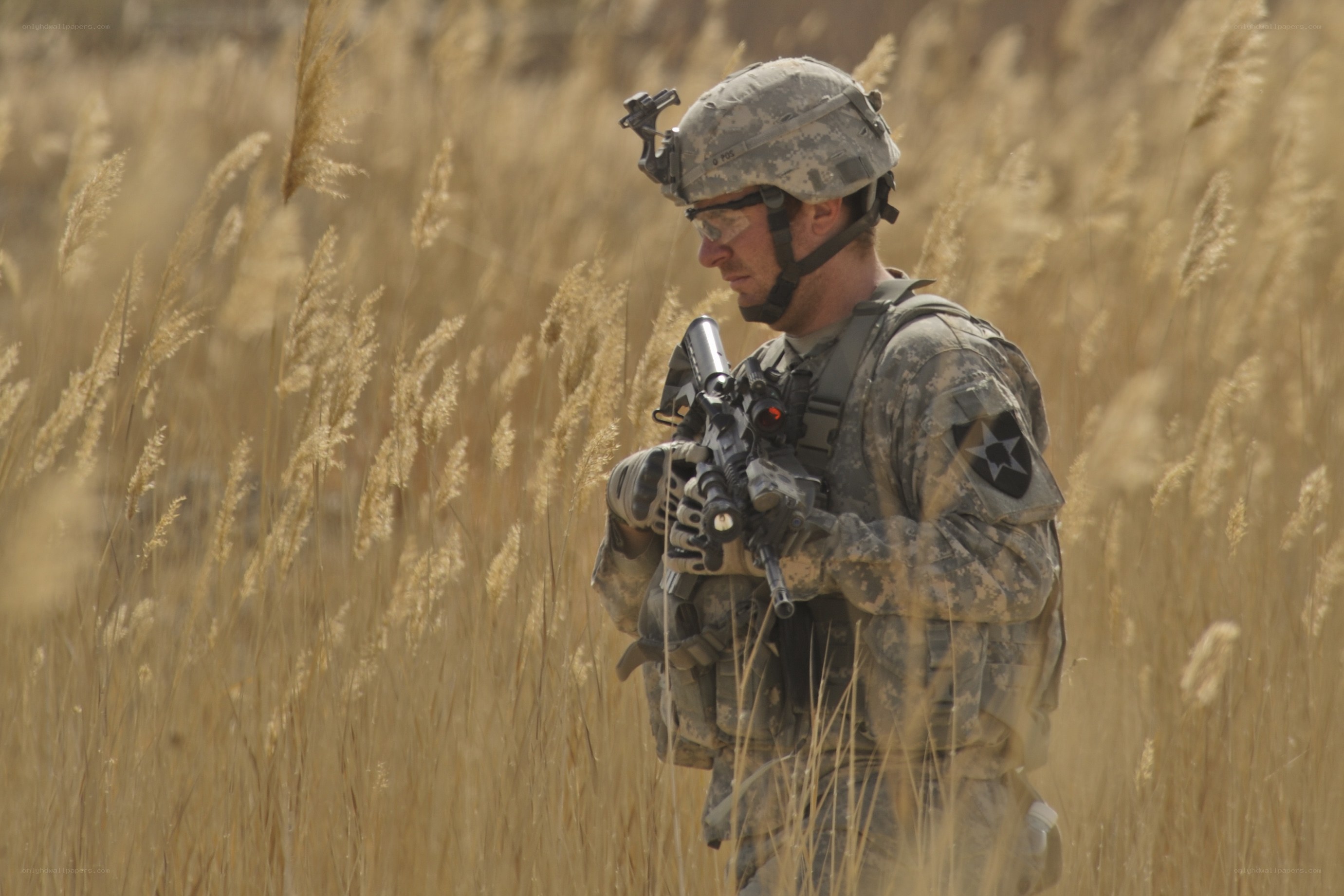 Soldier in tall grass