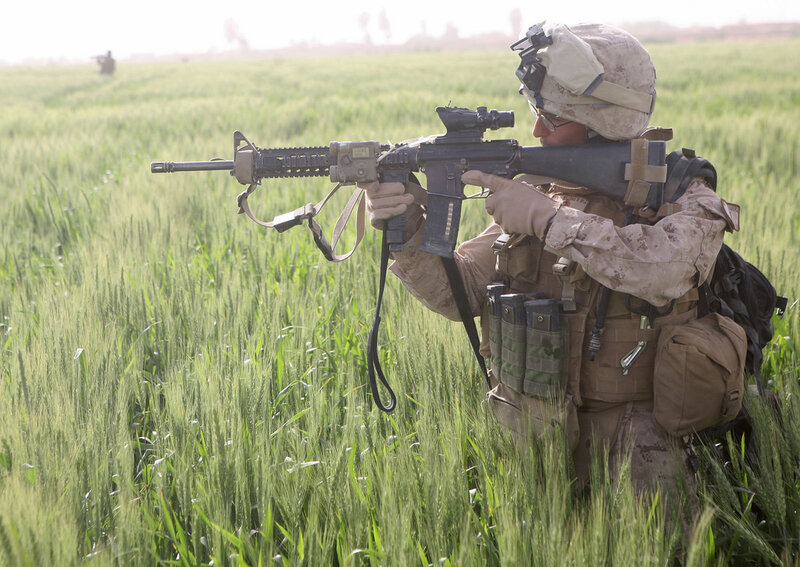 Soldier in Wheat Field — Green