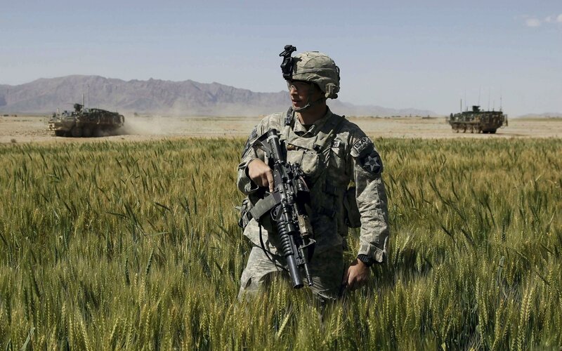 Soldier in wheat field with military vehicles