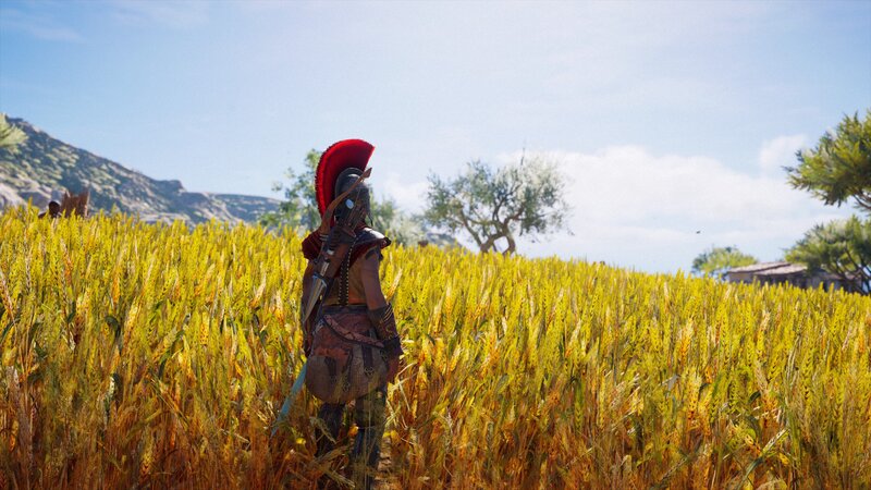 Soldier in Wheat Field — Yellow