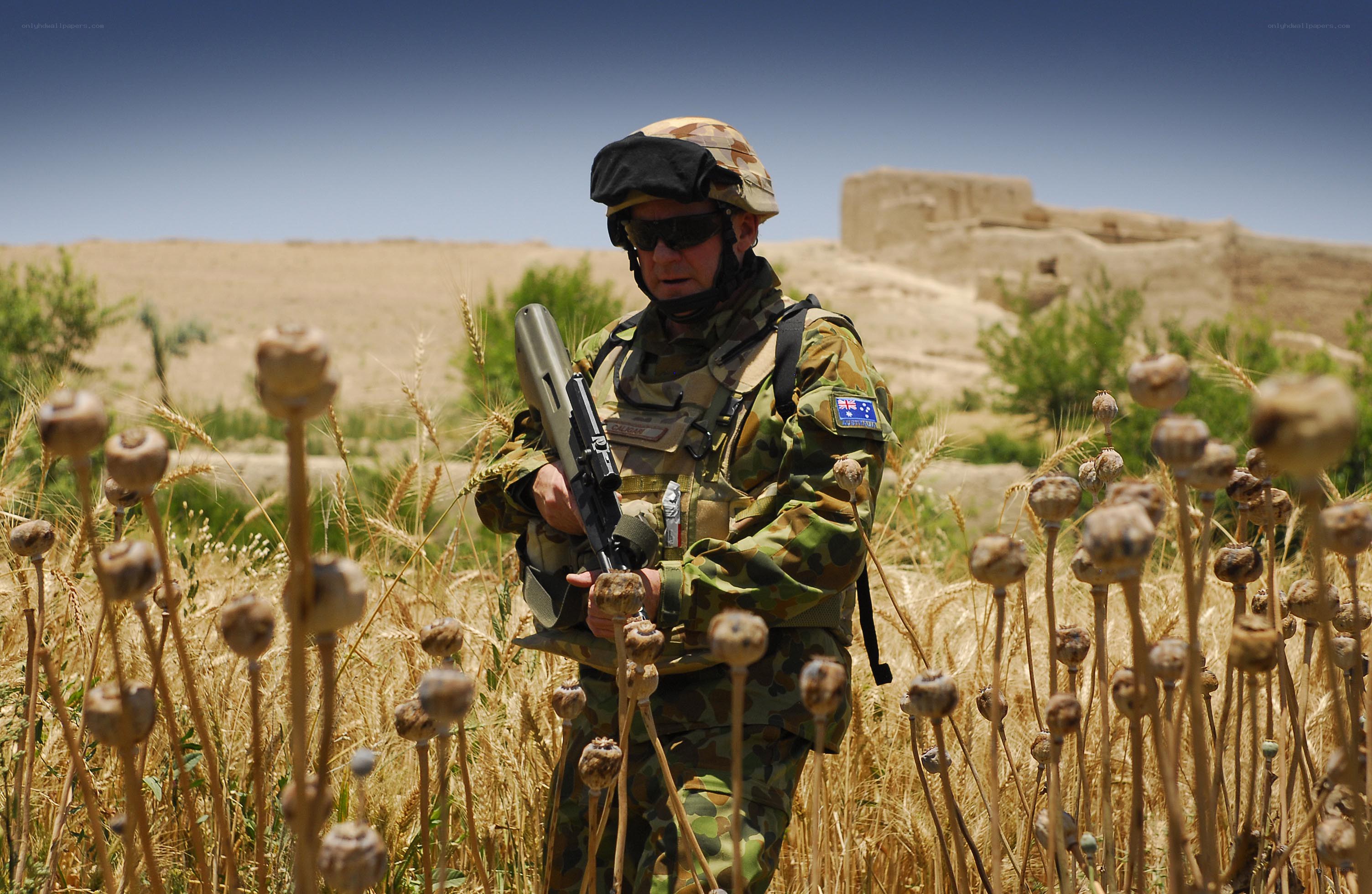 Soldier in wheat field
