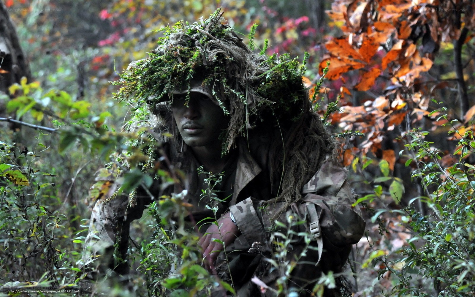soldier in woodland camouflage