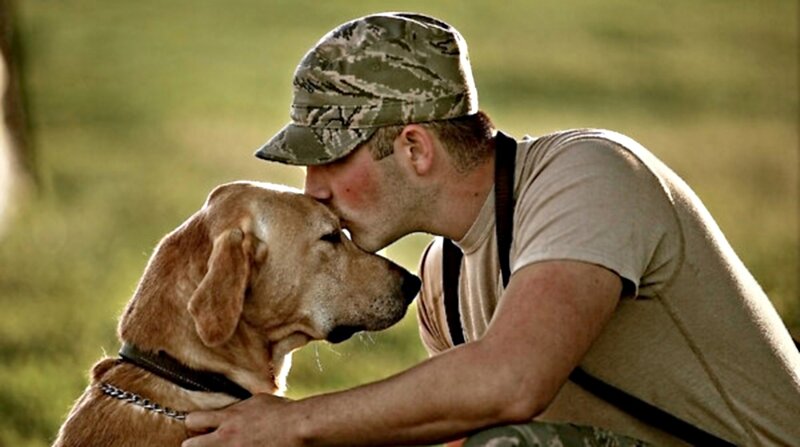 Soldier Kissing Dog — Green
