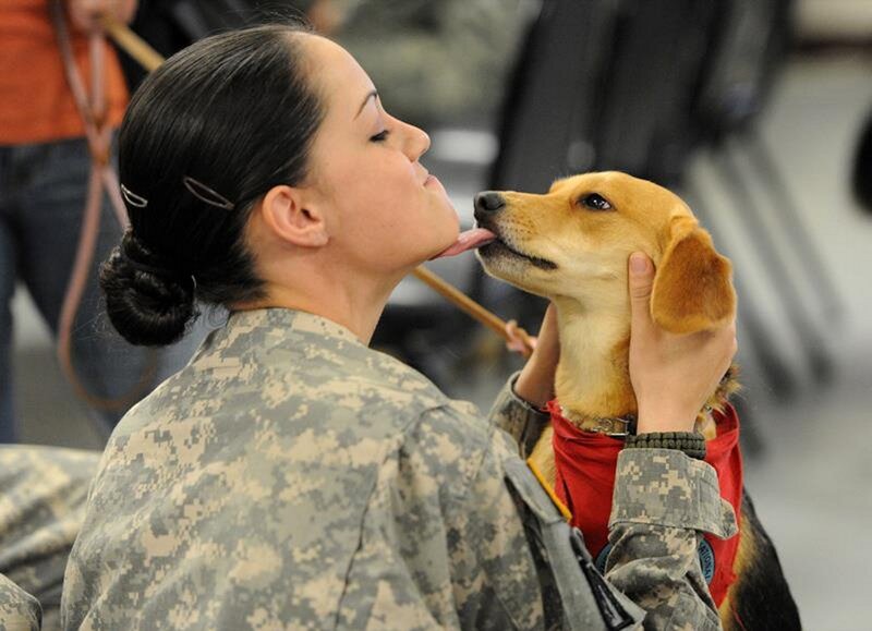 Soldier Kissing Dog