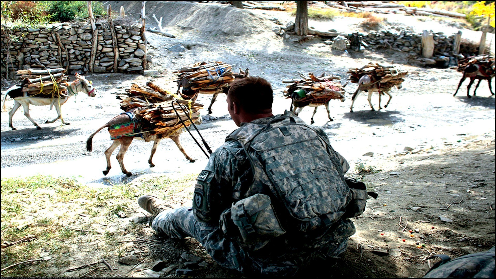 Soldier observing donkey caravan
