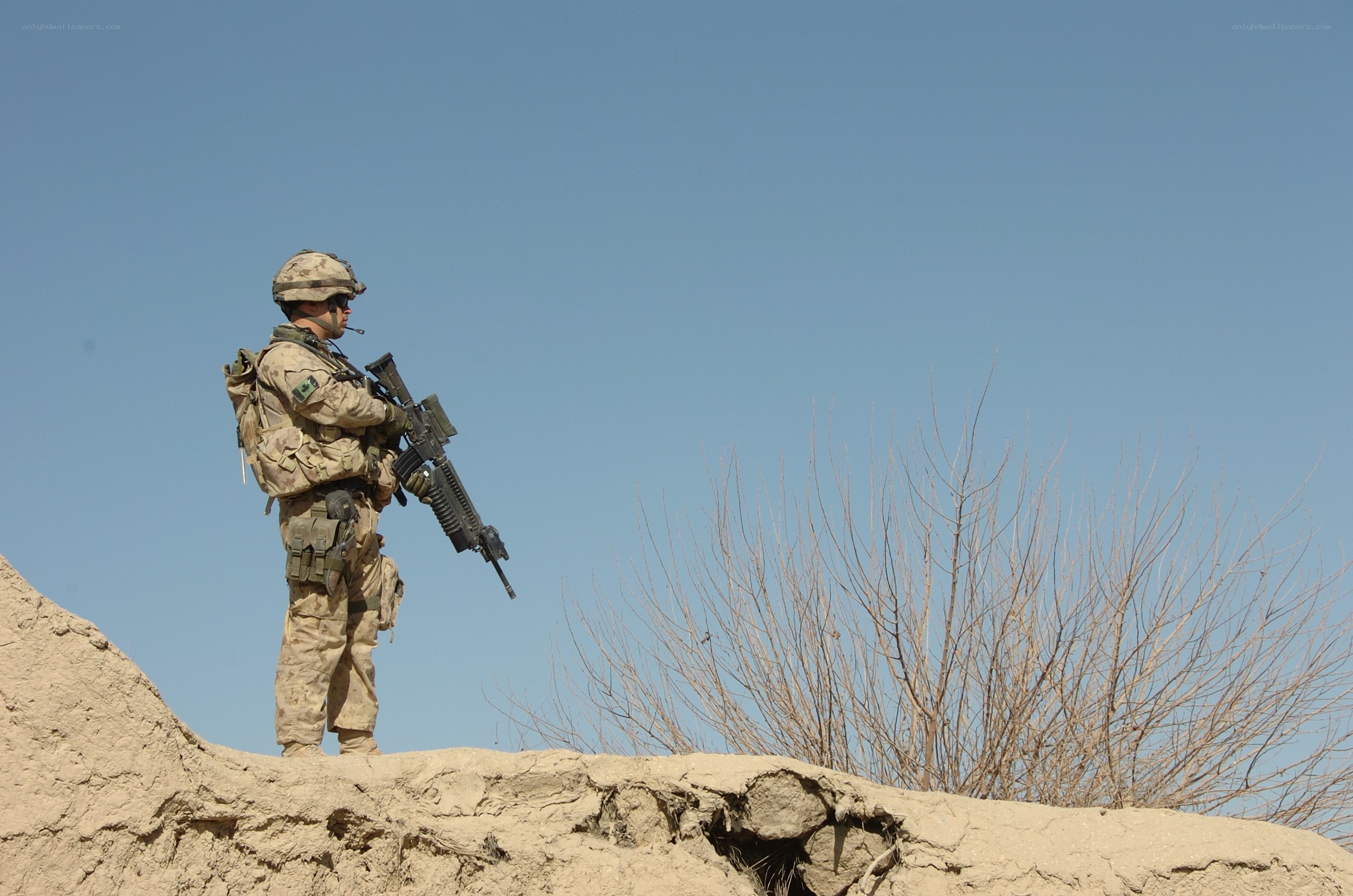 Soldier on a hilltop