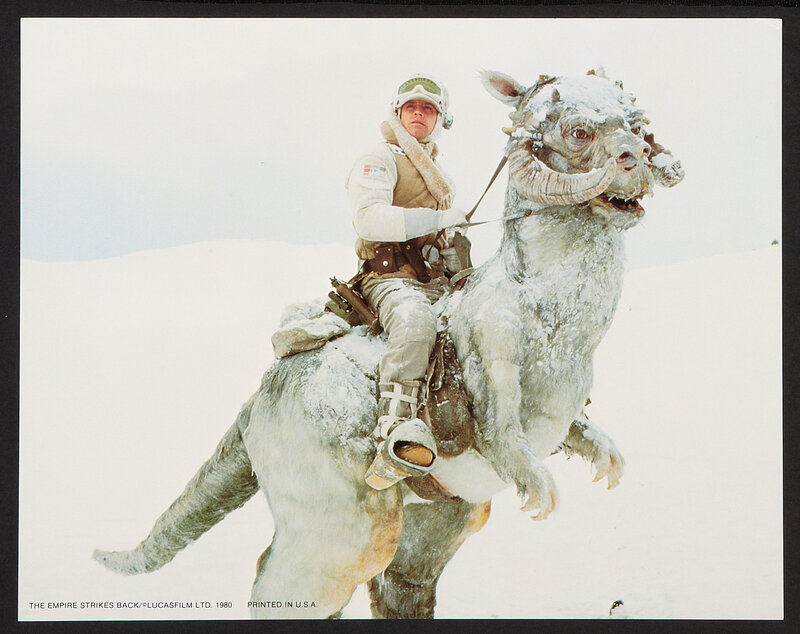 soldier on a tauntaun