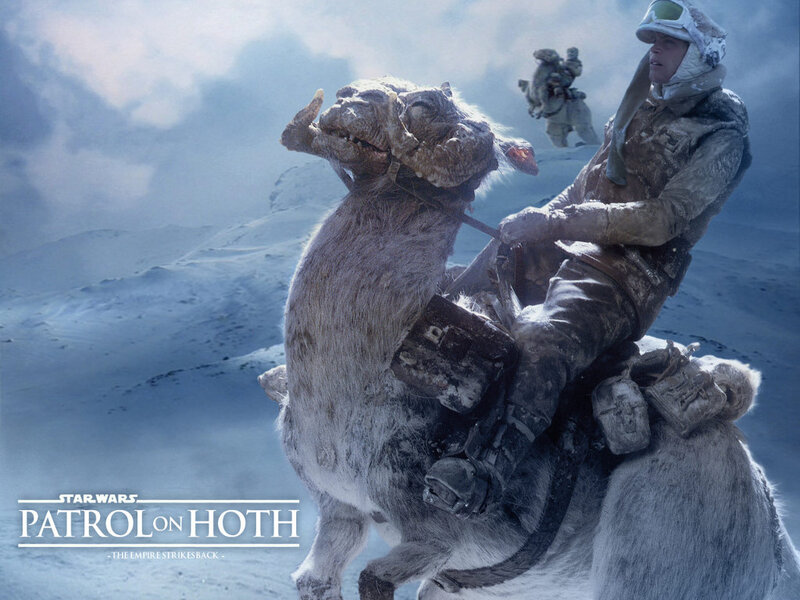 Soldier on a Tauntaun — White