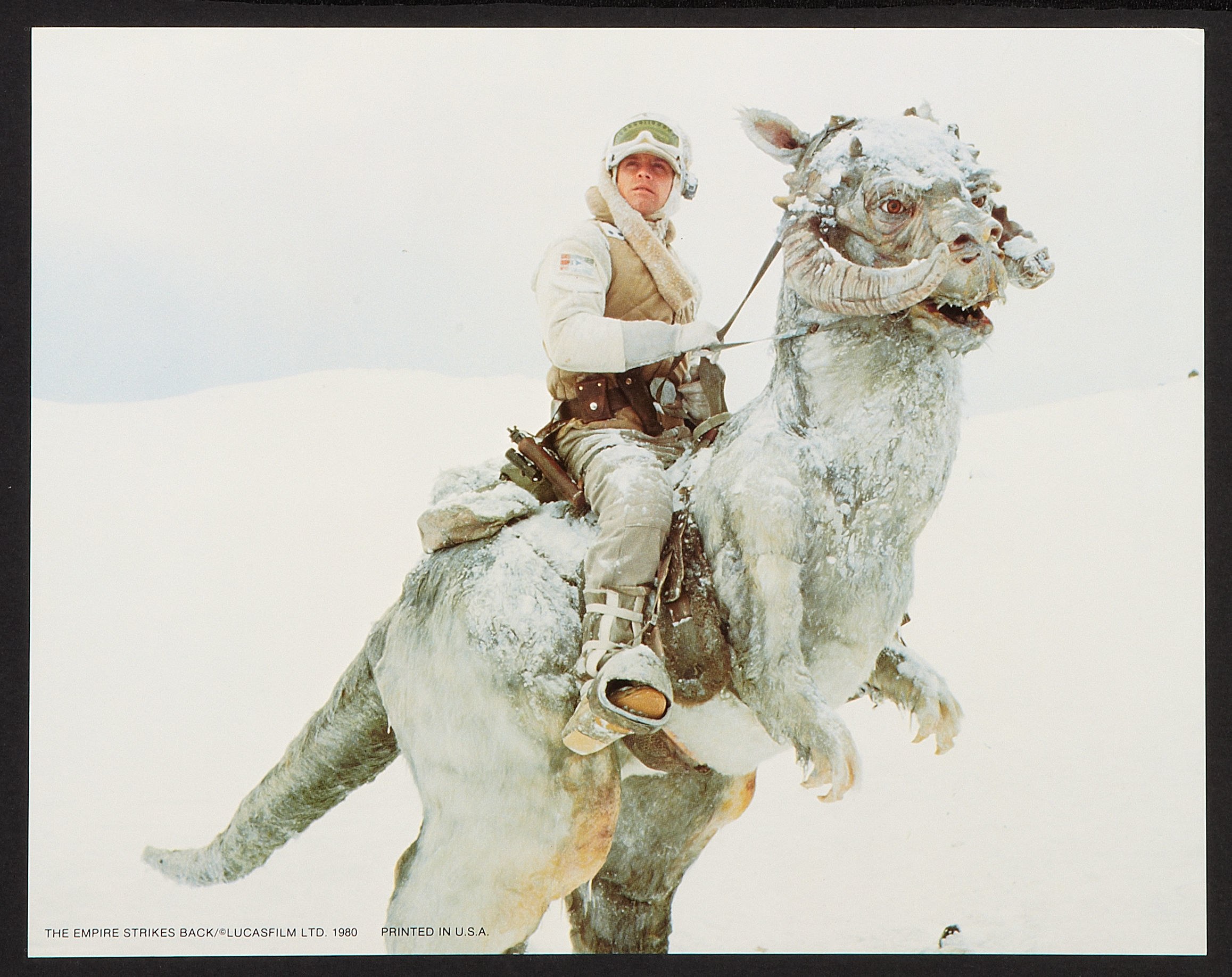 soldier on a tauntaun