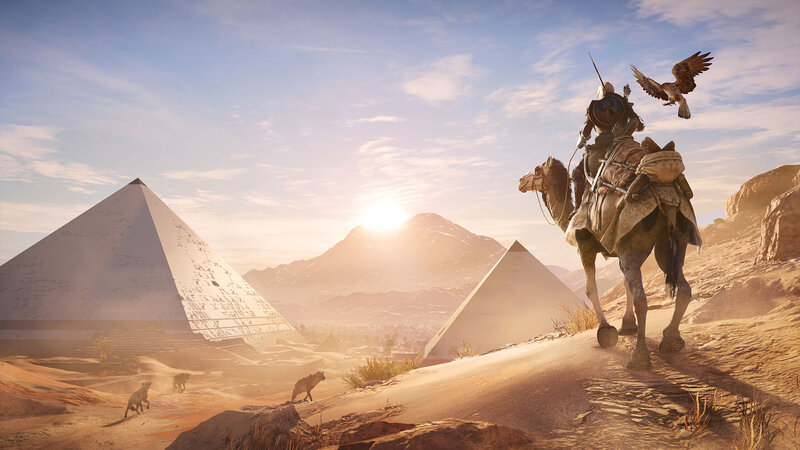 Soldier on Camel