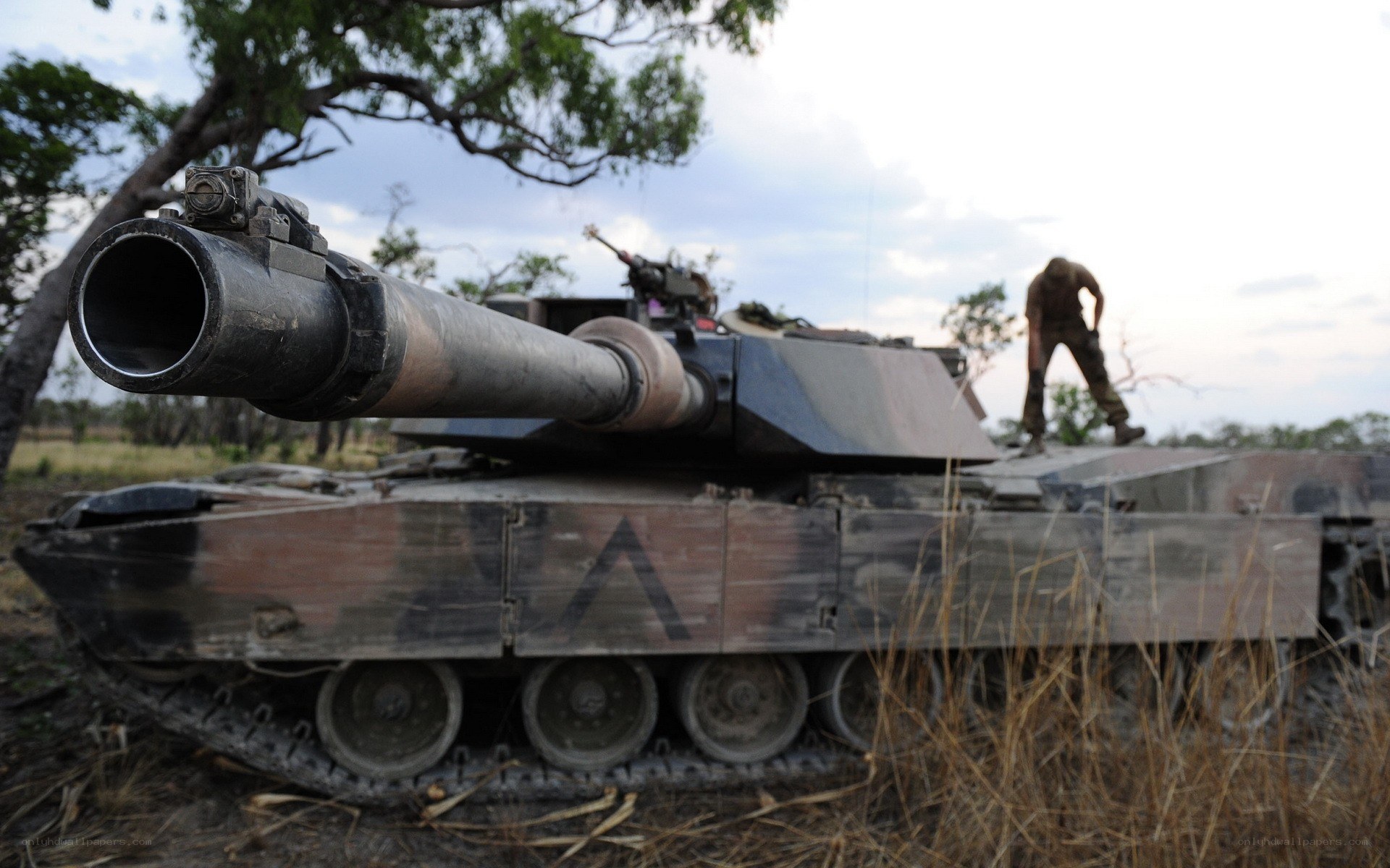 Soldier on tank in field