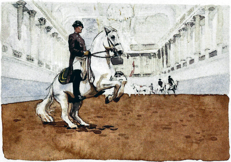 Soldier on White Horse — Brown