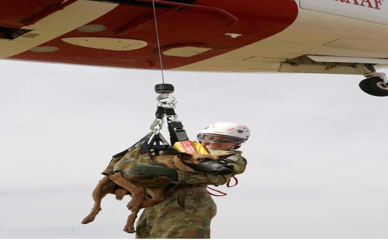 Soldier Rescuing Dog