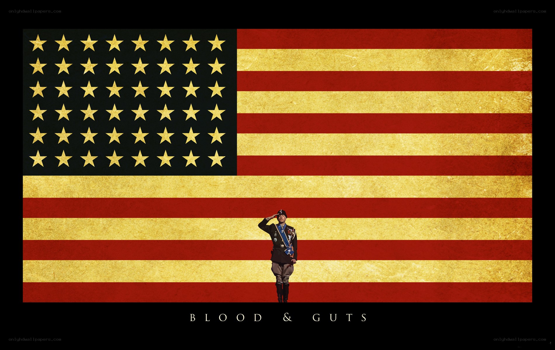 Soldier saluting flag