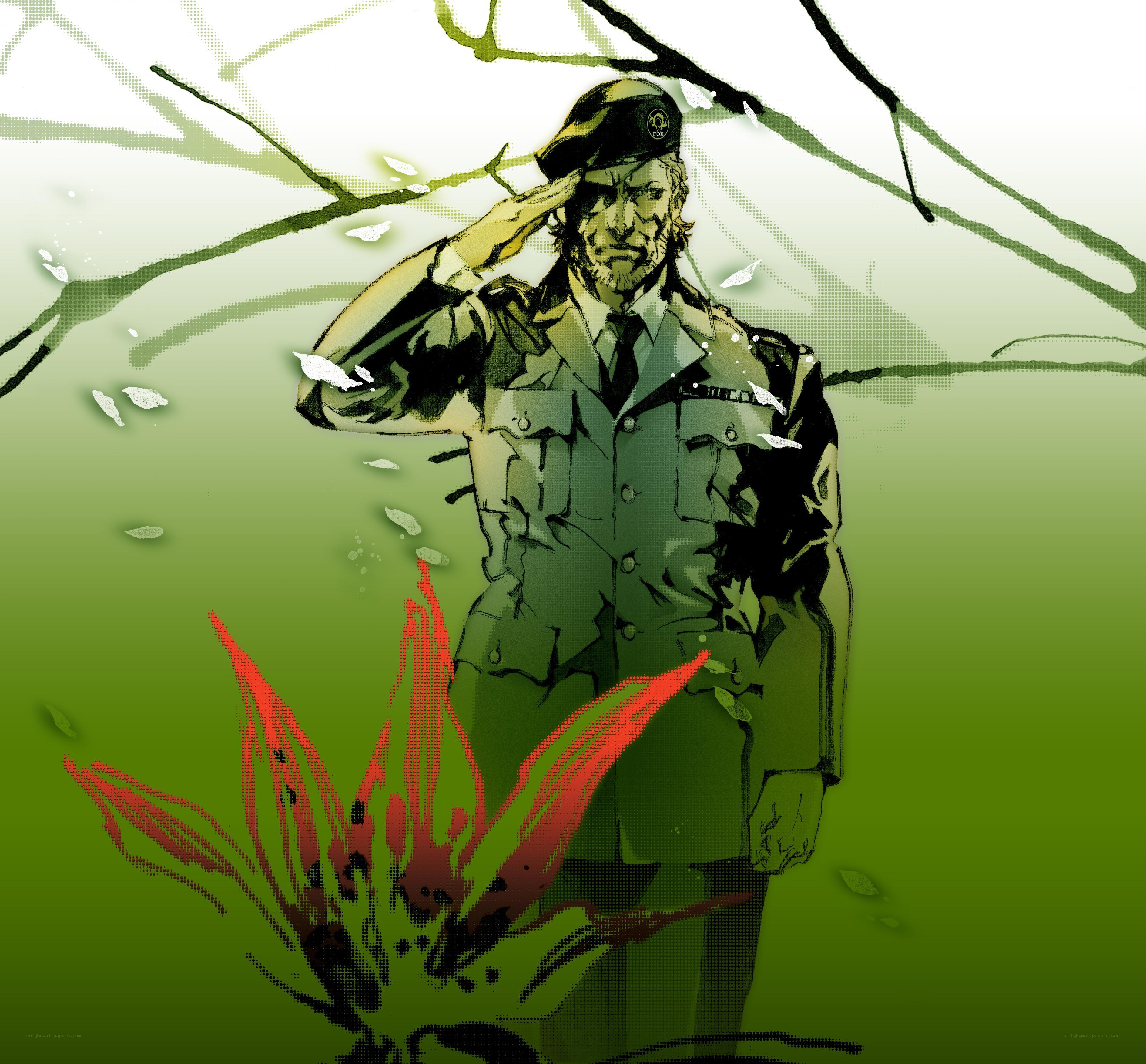 soldier saluting in green