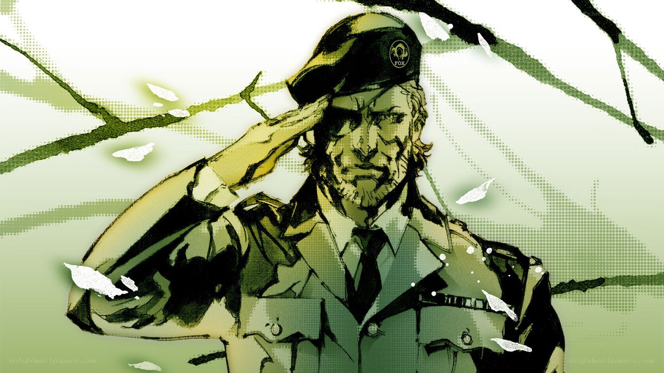 Soldier saluting in green tones