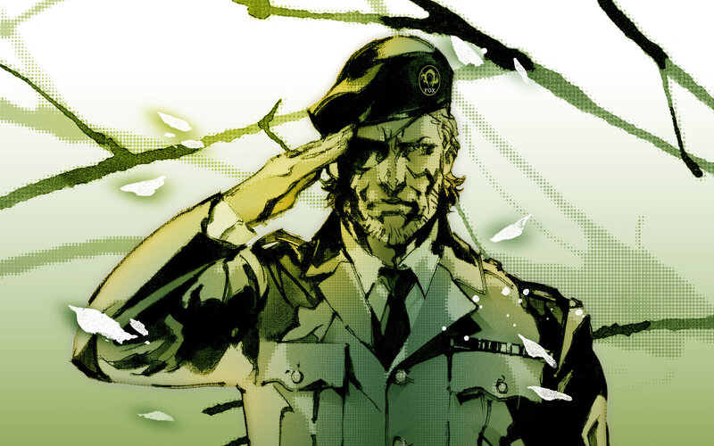 soldier saluting in green tones