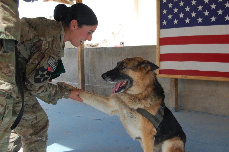 Soldier Shaking Dog's Paw