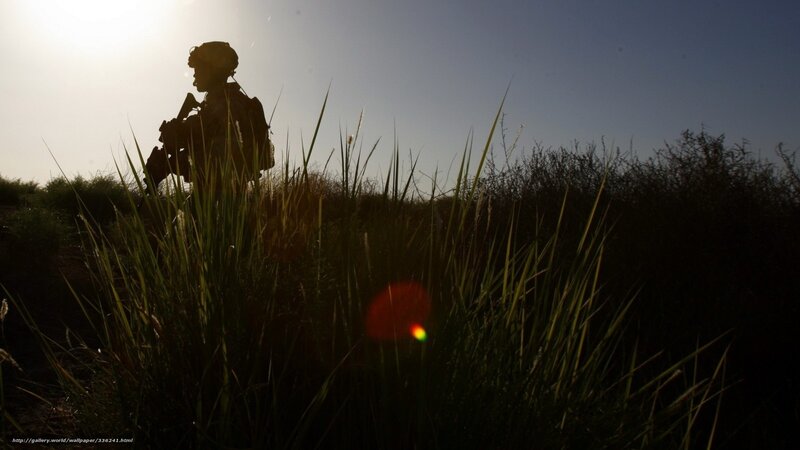 Soldier silhouette in tall grass